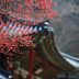 日韩二区影视内容编辑，专注韩剧与日剧内容整理，从业六年